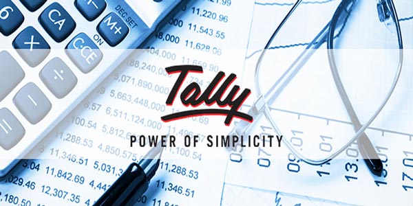 tally accounting services in delhi